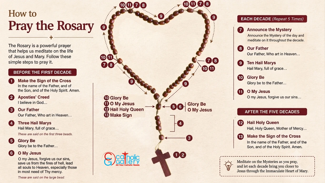 How to pray the Holy Rosary step by step, showing the Rosary beads, opening prayers, five decades, and closing prayers.