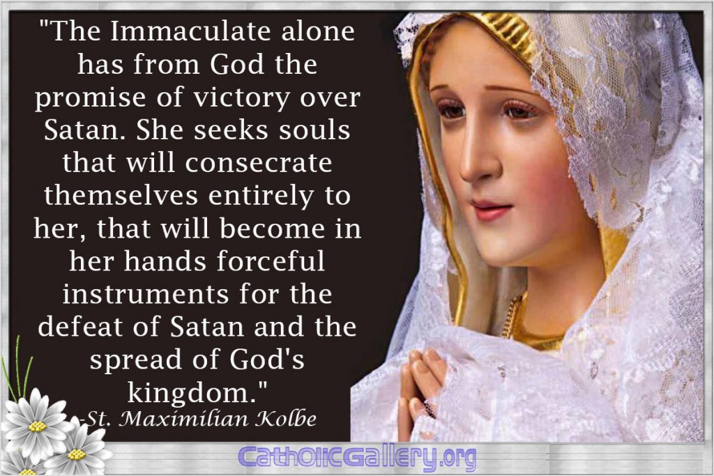 The-immaculate-alone_Mary-Quotes