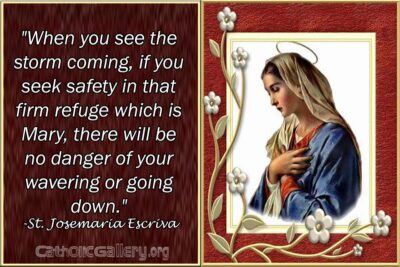 Quotes About Mary – Page 2