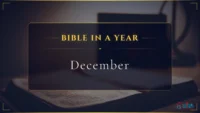 Bible in a Year –  December  reading plan