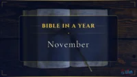 Bible in a Year –  November  reading plan