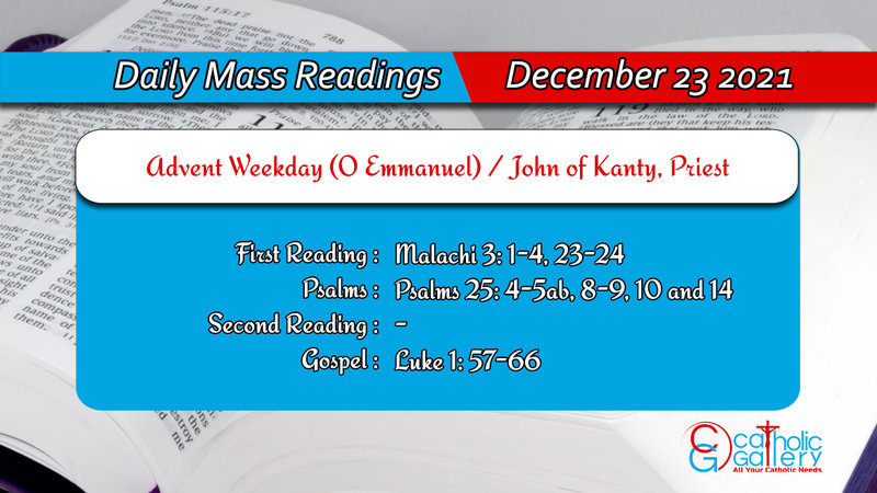 Catholic Daily Mass Readings 23 December 2021 || Thursday Mass
