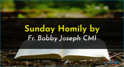 Sunday Homily – 26 November 2023