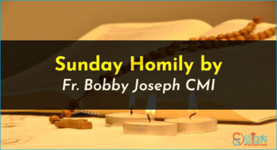 Sunday Homily – 18 August 2024