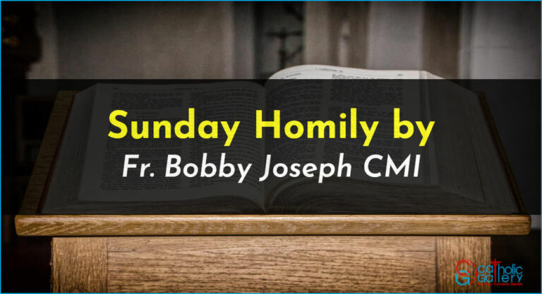 Sunday Homily – 06 October 2024