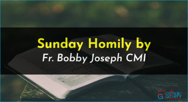 Sunday Homily – 13 October 2024