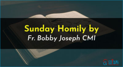 Sunday Homily – 27 November 2022
