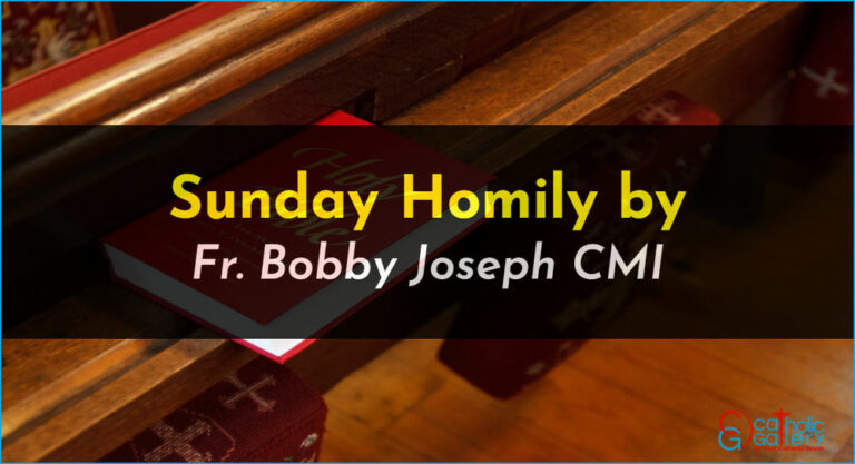 Sunday Homily – 24 September 2023