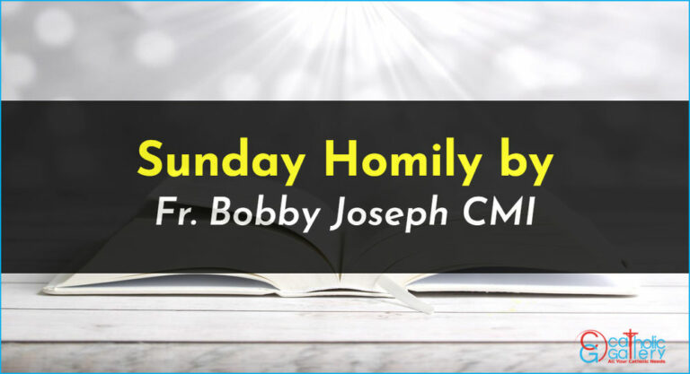 Sunday Homily – 01 October 2023