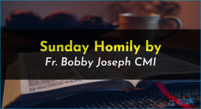 Sunday Homily – 23 June 2024