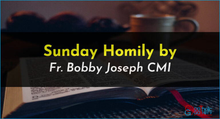 Sunday Homily – 23 June 2024