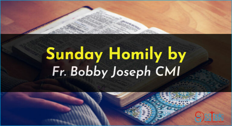 Sunday Homily – 21 July 2024