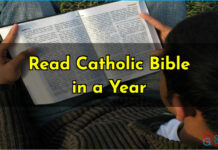 Catholic Bible in a Year