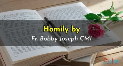 Sunday Homily – 27 November 2022