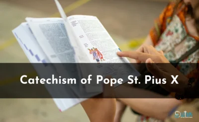 Pius X Catechism – The Vices and other Very Grievous Sins