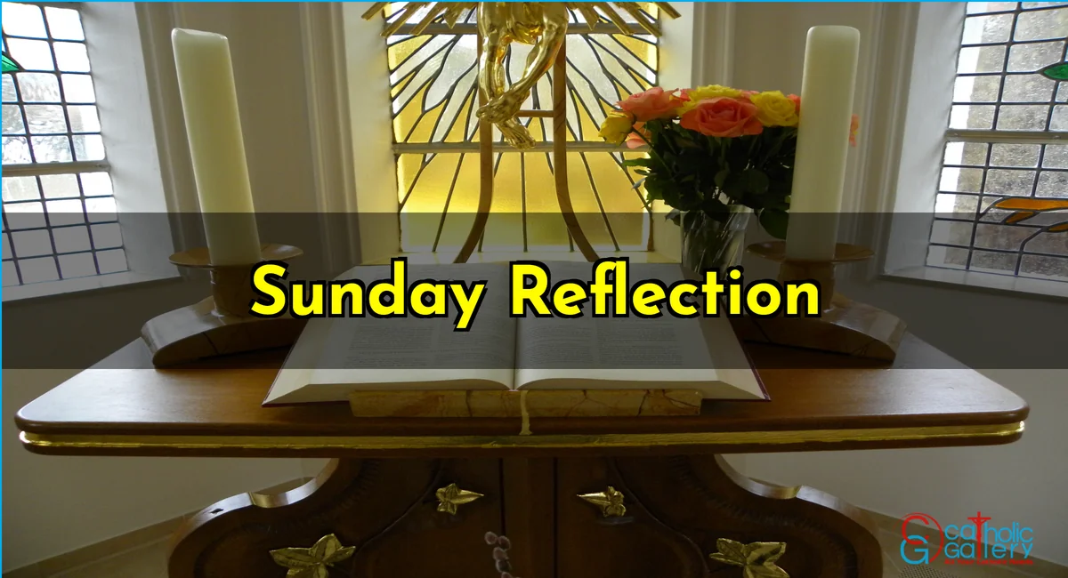 Sunday Reflection 01 February 2026 Catholic Gallery