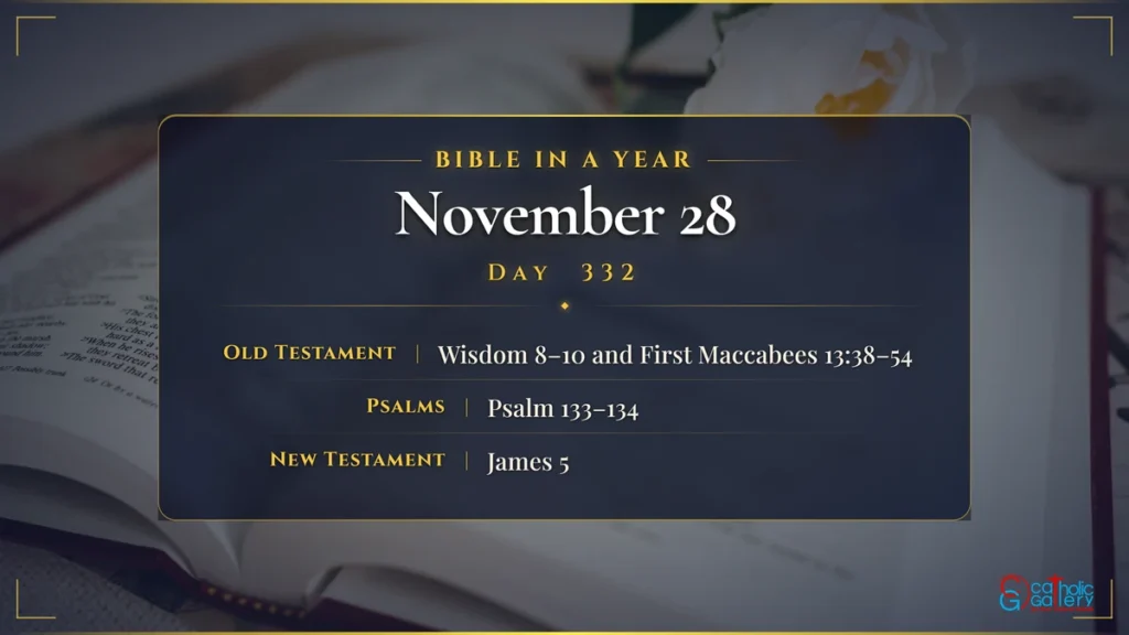 Bible in a Year – Day 332, November 28 reading plan